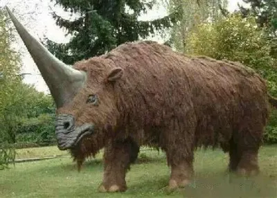 Szimuláció orrszarvú