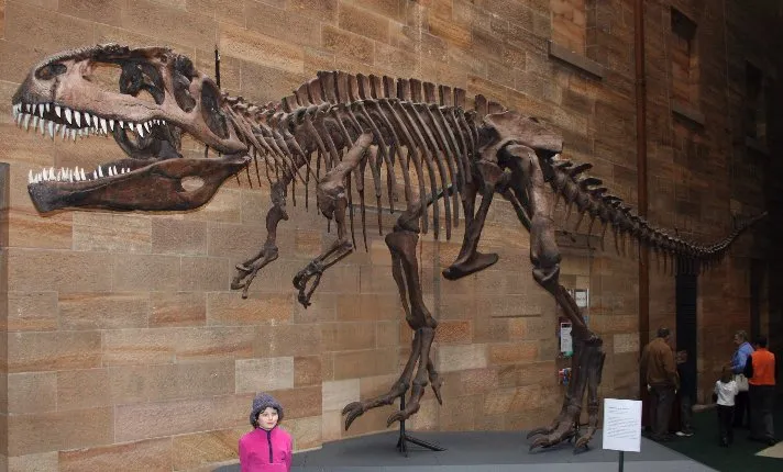 Giganotosaurus_AustMus_email